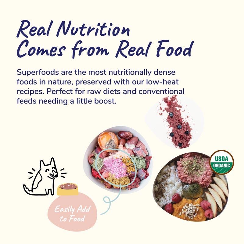 Kin+Kind Organic Healthy Immunity & Urinary Tract Dog and Cat Supplement - CreatureLand