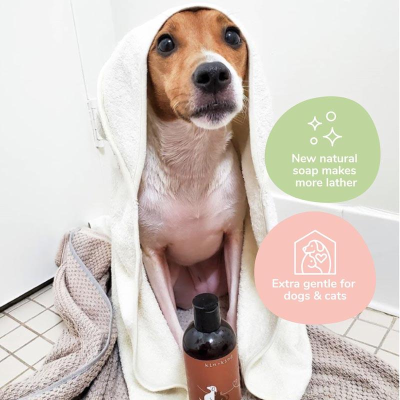Kin+Kind Sensitive Skin Shampoo For Puppies & Kittens (Unscented) - 354ml - CreatureLand