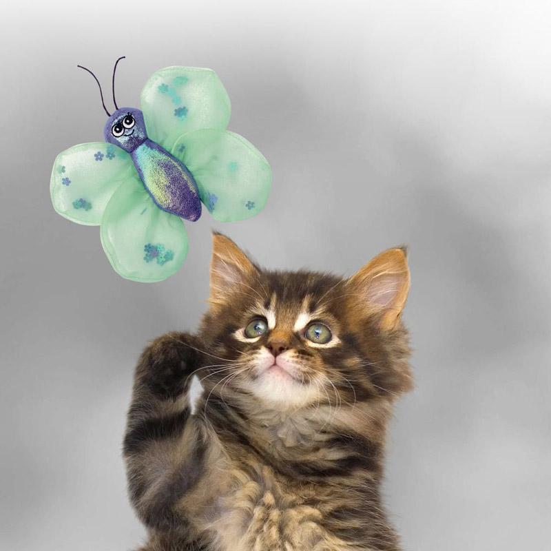 KONG® Better Buzz Catnip Toy – Butterfly - CreatureLand