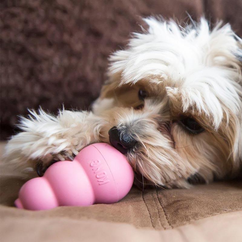 KONG® KONG® Classic Puppy Toy (2 Colours) - CreatureLand