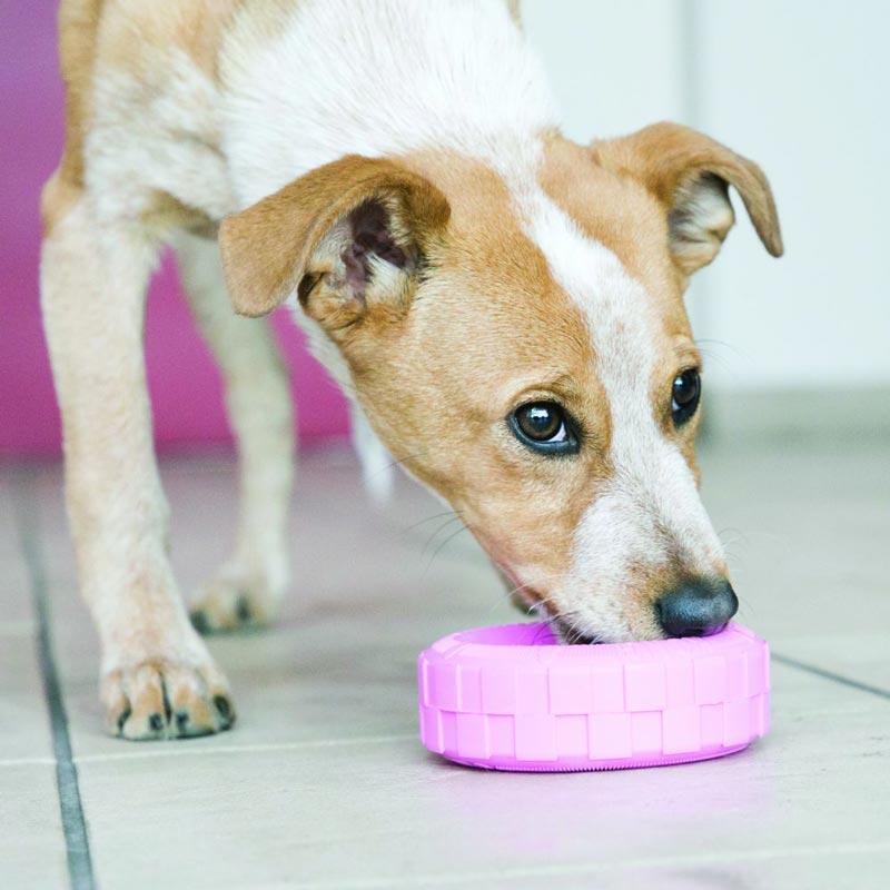 KONG® Puppy Tires Teething Toy (2 Colours) - CreatureLand