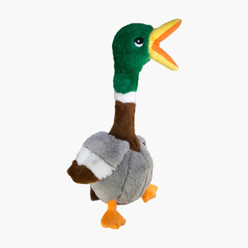 KONG® Shakers Honkers – Duck - CreatureLand