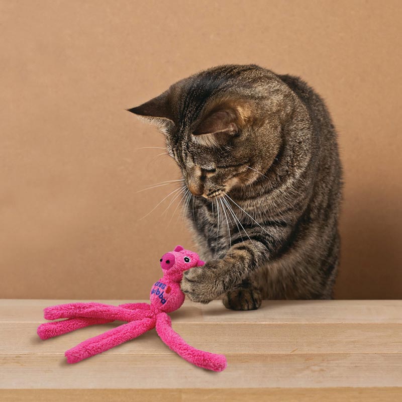 KONG® Wubba Pig Catnip Toy (Assorted) - CreatureLand