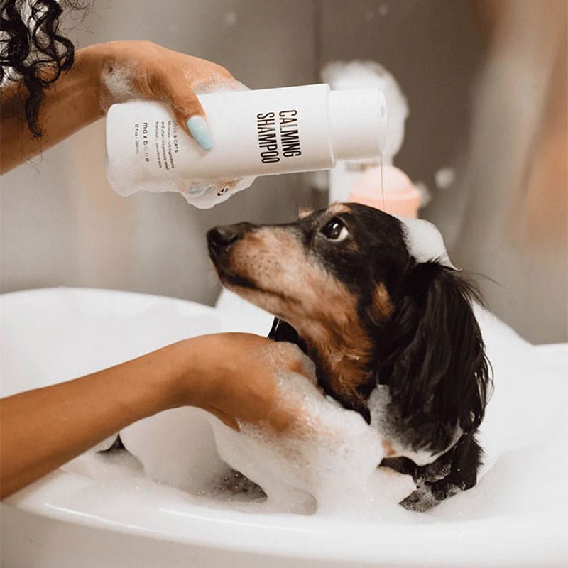 Maxbone Calming Shampoo For Dogs and Cats (355ml) - CreatureLand