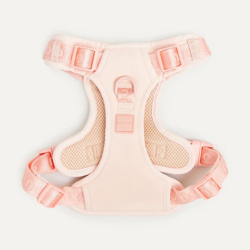 Maxbone Easy Fit Harness - Peach - CreatureLand