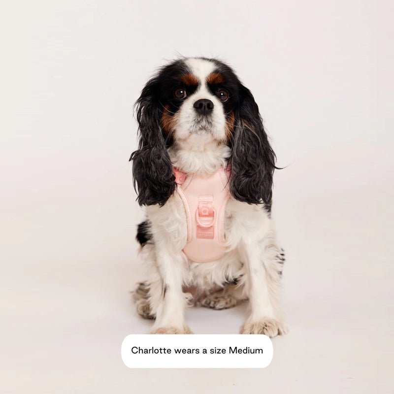 Maxbone Easy Fit Harness - Peach - CreatureLand