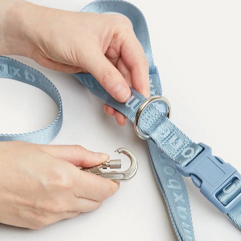 Maxbone GO! With Ease Hands Free Leash - Dusk Blue - CreatureLand