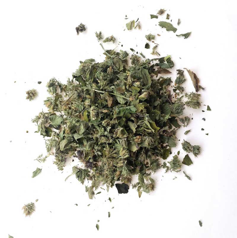 Meowijuana Feline Express - Stoney Shake Blend (26g) - CreatureLand