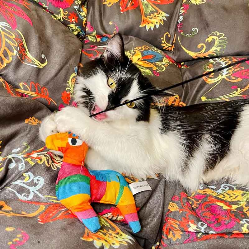 Meowijuana Get Smashed Refillable Catnip Llama Piñata Cat Teaser - CreatureLand