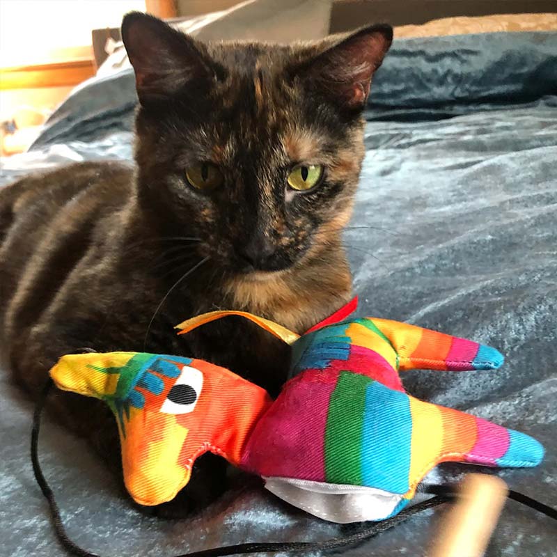 Meowijuana Get Smashed Refillable Catnip Llama Piñata Cat Teaser - CreatureLand