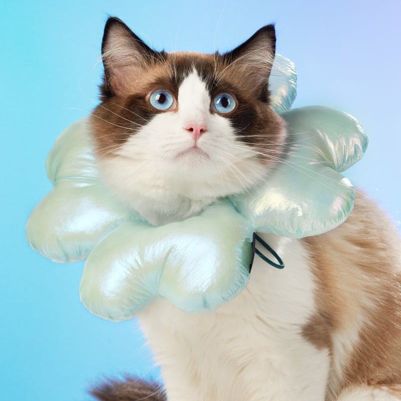 Mewoofun Four Leaf Clover Elizabethan Collar ( 3 Sizes ) - CreatureLand