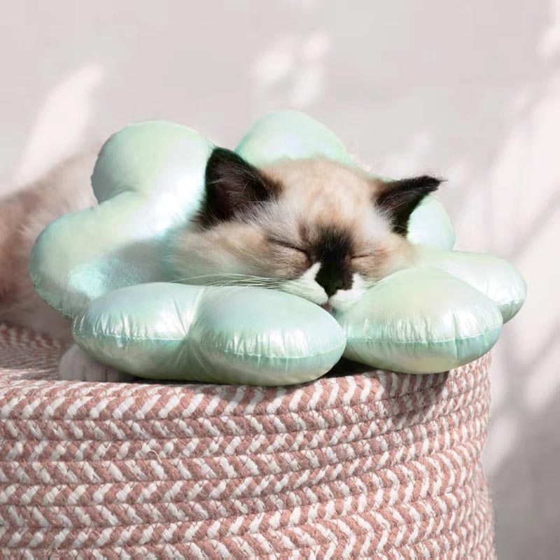 Mewoofun Four Leaf Clover Elizabethan Collar ( 3 Sizes ) - CreatureLand