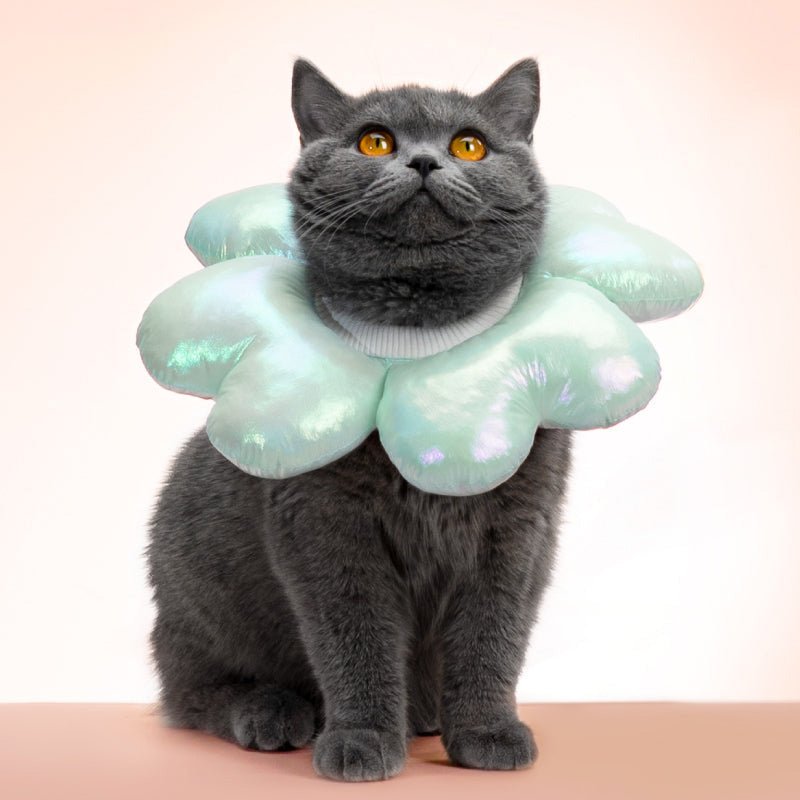 Mewoofun Four Leaf Clover Elizabethan Collar ( 3 Sizes ) - CreatureLand