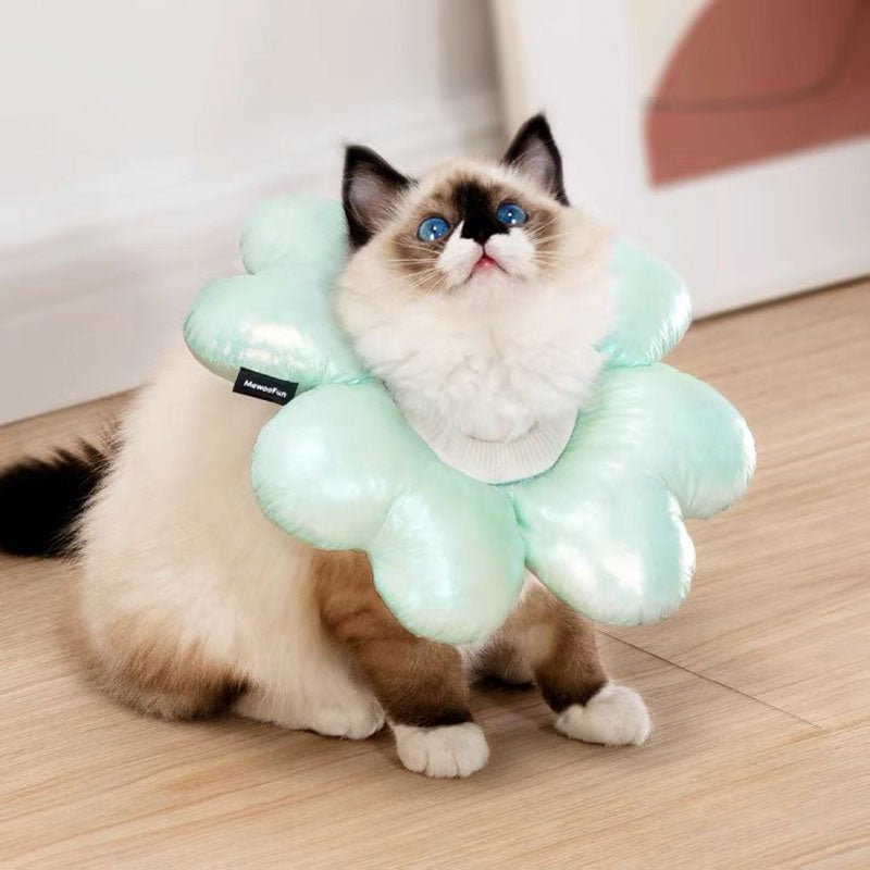 Mewoofun Four Leaf Clover Elizabethan Collar ( 3 Sizes ) - CreatureLand