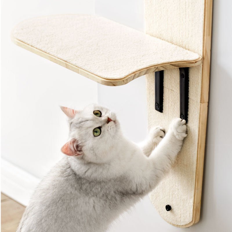 Mewoofun High Ladder Cat Climber - CreatureLand