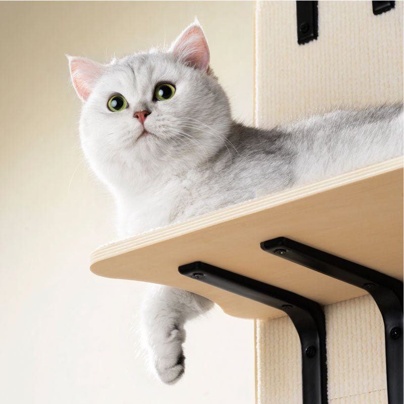Mewoofun High Ladder Cat Climber - CreatureLand