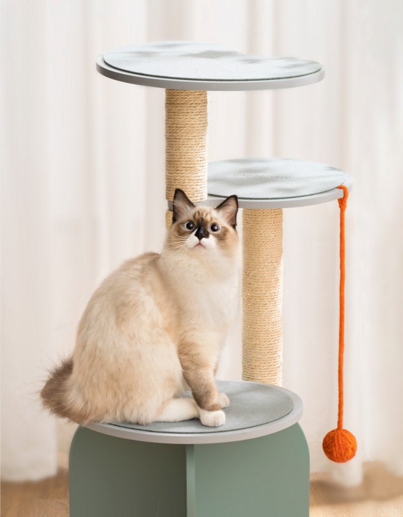 Mewoofun Mountain Stream Cat Condo - CreatureLand