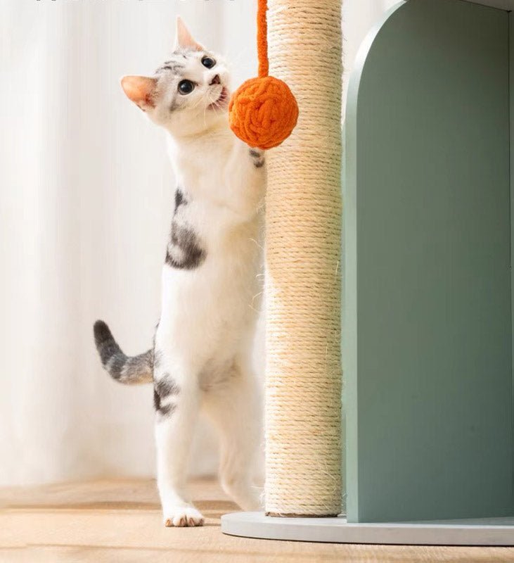 Mewoofun Mountain Stream Cat Condo - CreatureLand