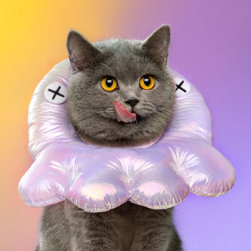 Mewoofun Octopus Elizabethan Collar ( 3 Sizes ) - CreatureLand