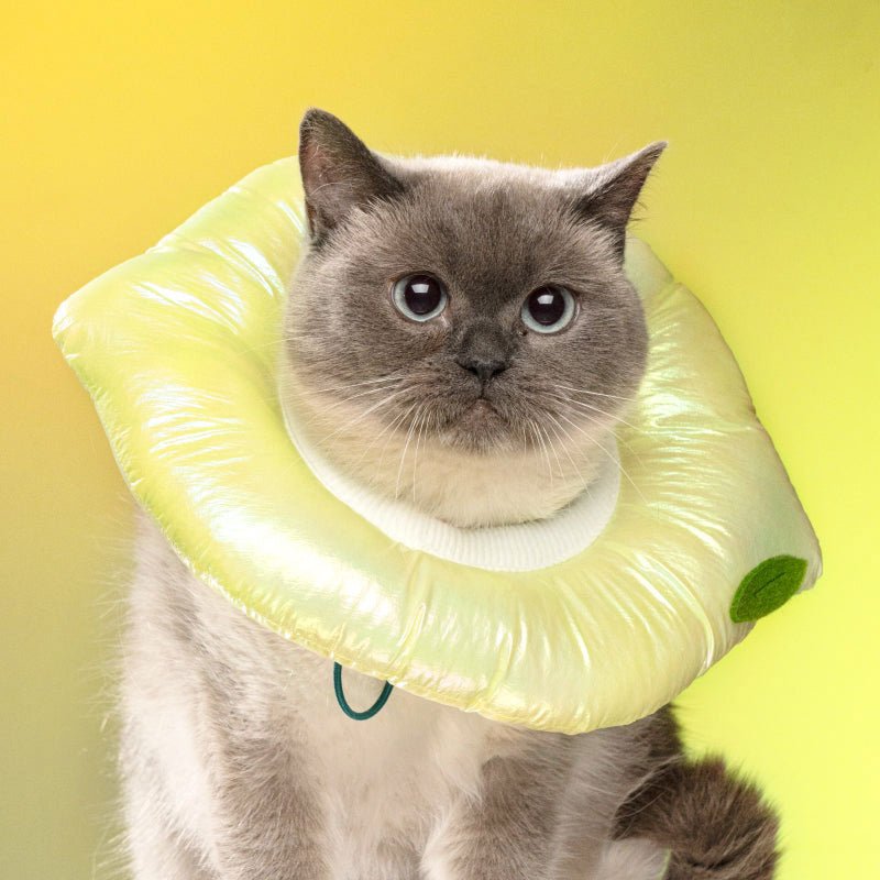 Mewoofun Sour Lemon Elizabethan Collar ( 3 Sizes ) - CreatureLand