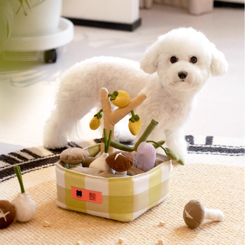 Mewoofun Vegetable Farm Nosework Dog Toy - CreatureLand