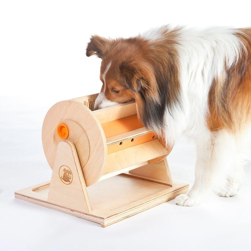 My Intelligent Pets Interactive Puzzle Game - Pet's Fortune Wheel - CreatureLand