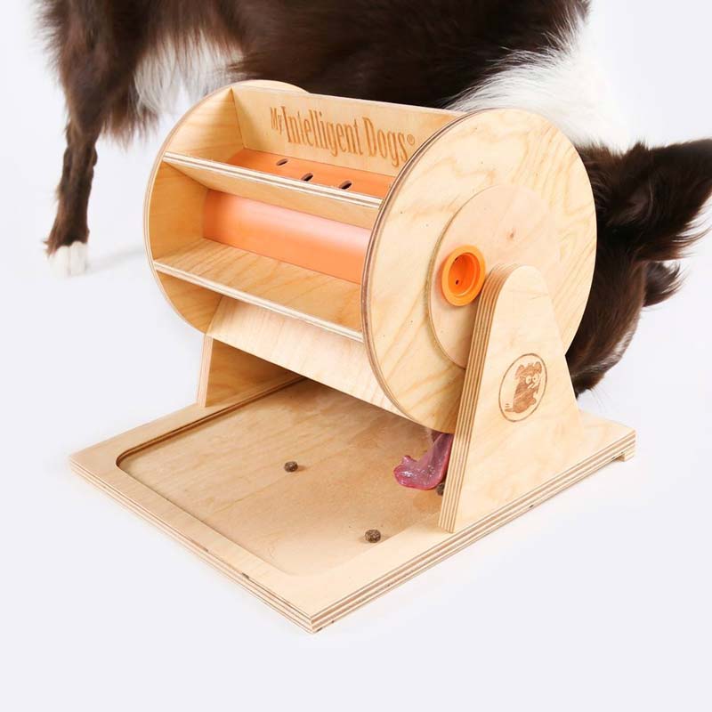 My Intelligent Pets Interactive Puzzle Game - Pet's Fortune Wheel - CreatureLand