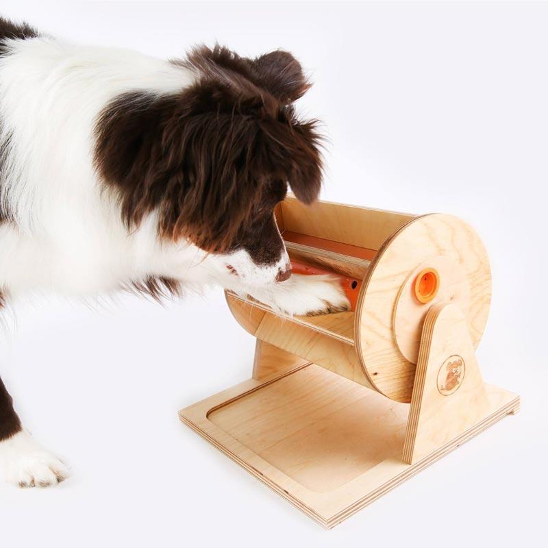 My Intelligent Pets Interactive Puzzle Game - Pet's Fortune Wheel - CreatureLand