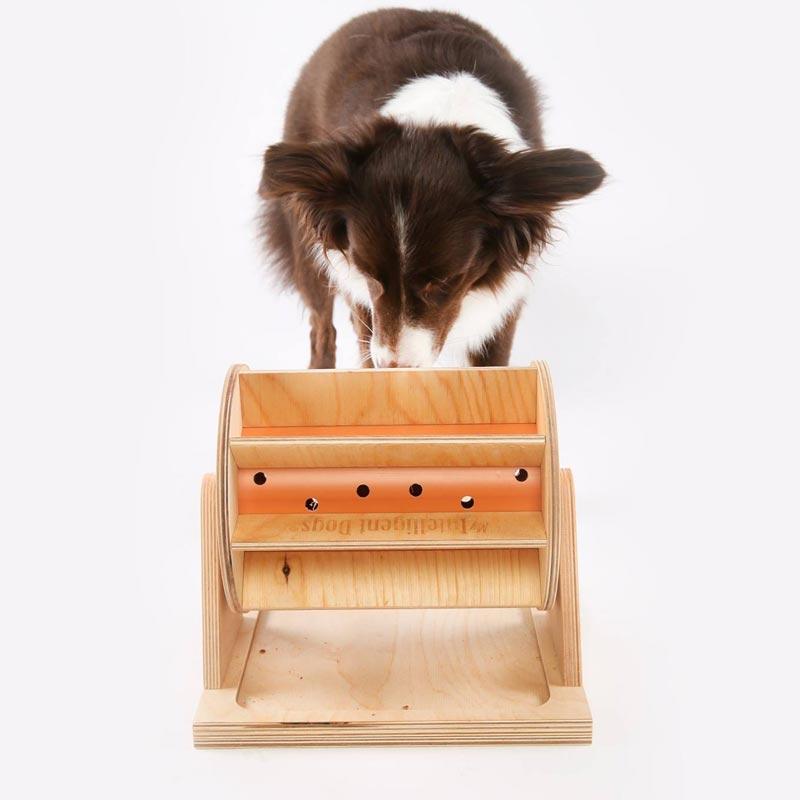 My Intelligent Pets Interactive Puzzle Game - Pet's Fortune Wheel - CreatureLand