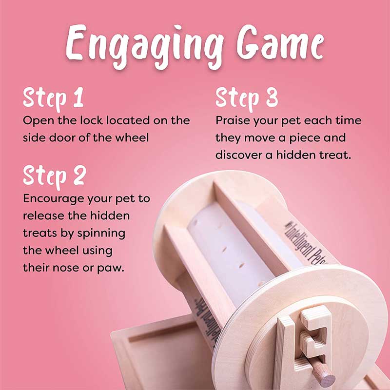 My Intelligent Pets Interactive Puzzle Game - Pet's Fortune Wheel - CreatureLand