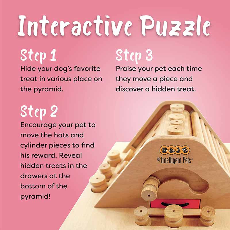 My Intelligent Pets Interactive Puzzle Game - Pyramid - CreatureLand