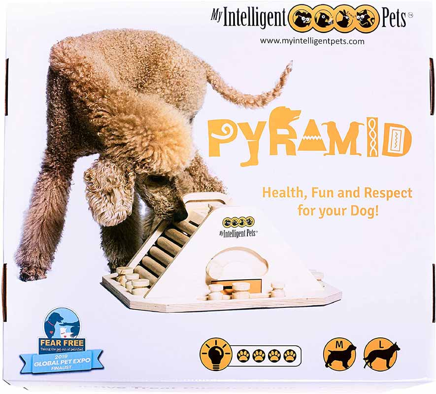 My Intelligent Pets Interactive Puzzle Game - Pyramid - CreatureLand