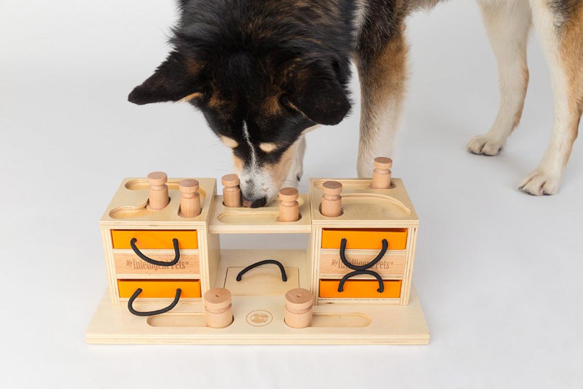 My Intelligent Pets Interactive Puzzle Game - Two Towers - CreatureLand