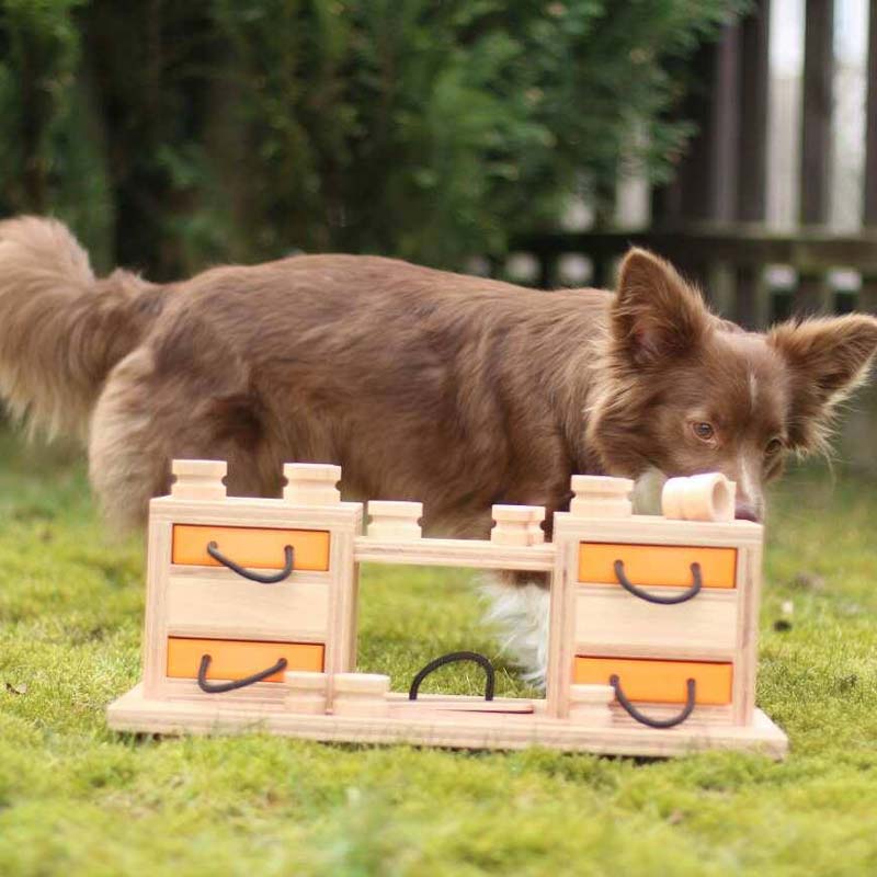 My Intelligent Pets Interactive Puzzle Game - Two Towers - CreatureLand