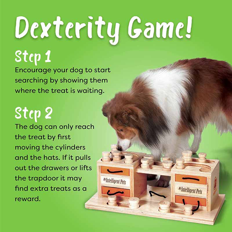 My Intelligent Pets Interactive Puzzle Game - Two Towers - CreatureLand