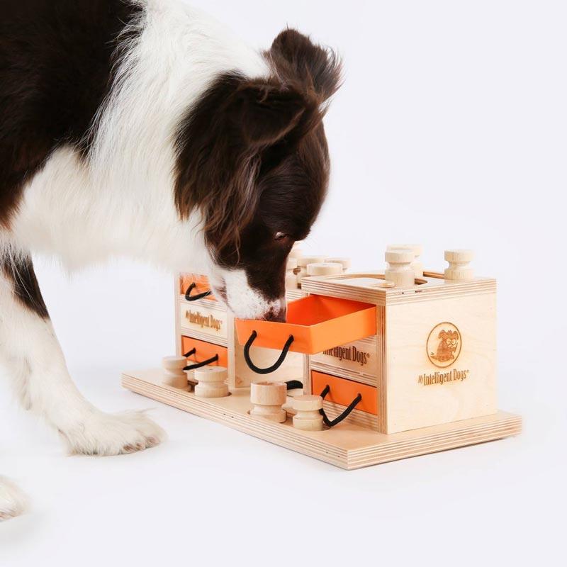 My Intelligent Pets Interactive Puzzle Game - Two Towers - CreatureLand