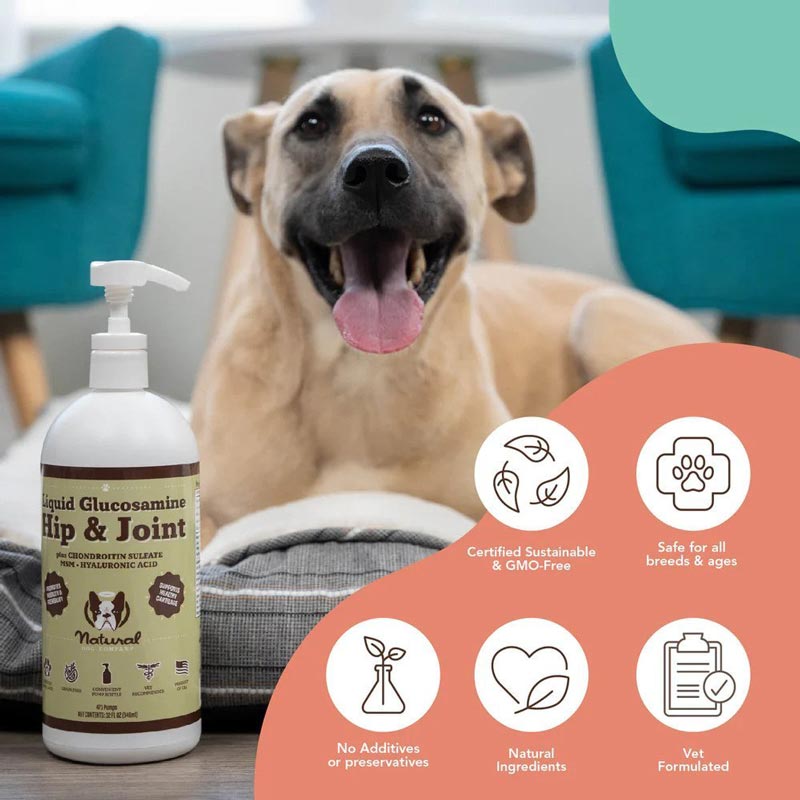 Natural Dog Company Hip & Joint Oil (16oz) - CreatureLand