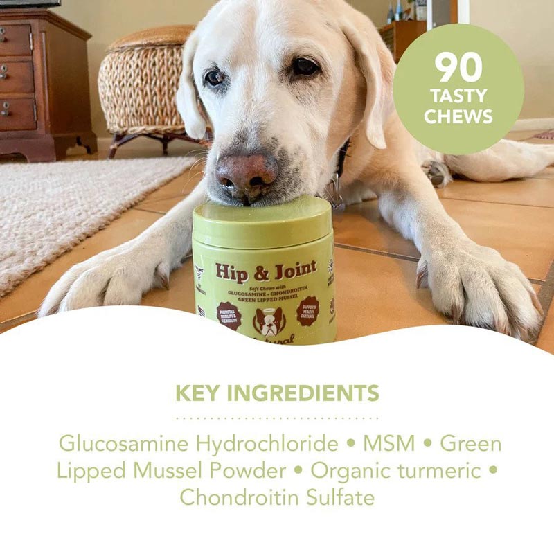 Natural Dog Company Hip & Joint Supplement (90 Chews) - CreatureLand