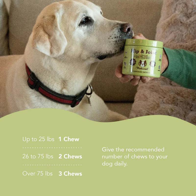 Natural Dog Company Hip & Joint Supplement (90 Chews) - CreatureLand