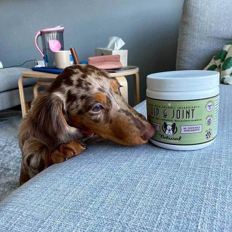 Natural Dog Company Hip & Joint Supplement (90 Chews) - CreatureLand