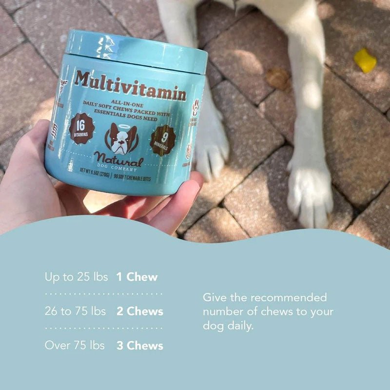 Natural Dog Company Multivitamin Supplement (90 Chews) - CreatureLand