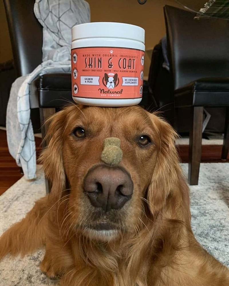 Natural Dog Company Skin & Coat Supplement (90 Chews) - CreatureLand