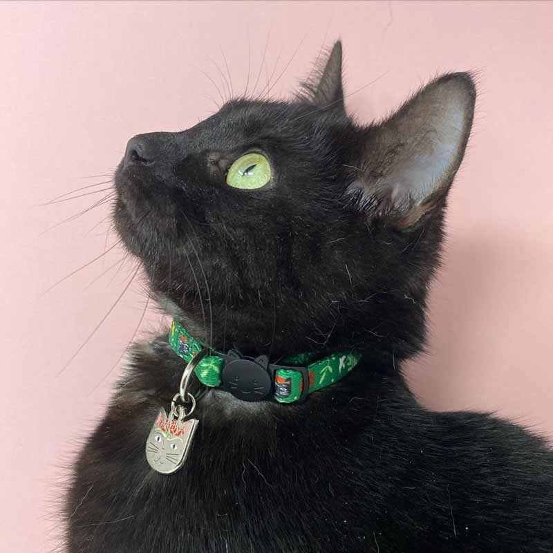 Niaski Frida Catlo Artist Cat Collar - CreatureLand