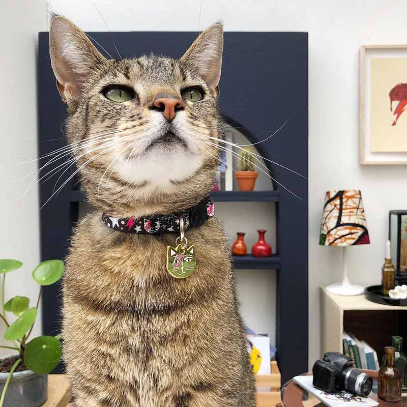 Niaski Kitty Stardust Artist Cat Collar - CreatureLand