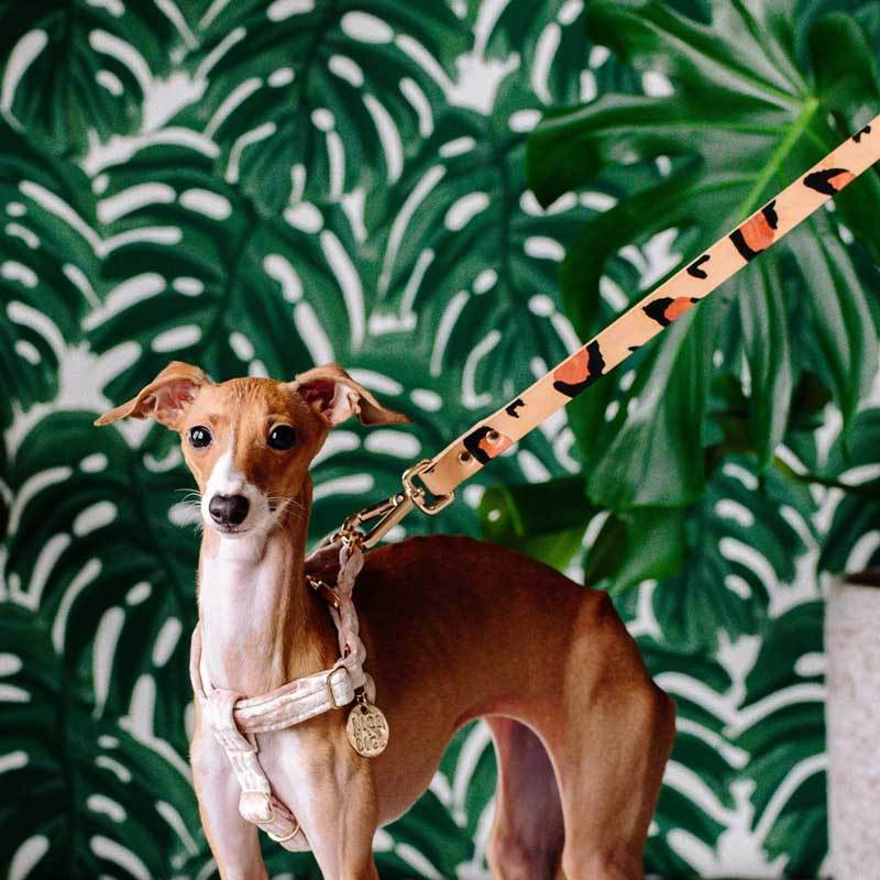 Nice Digs TWO TONE DOG LEASH - TAN ANIMAL - CreatureLand