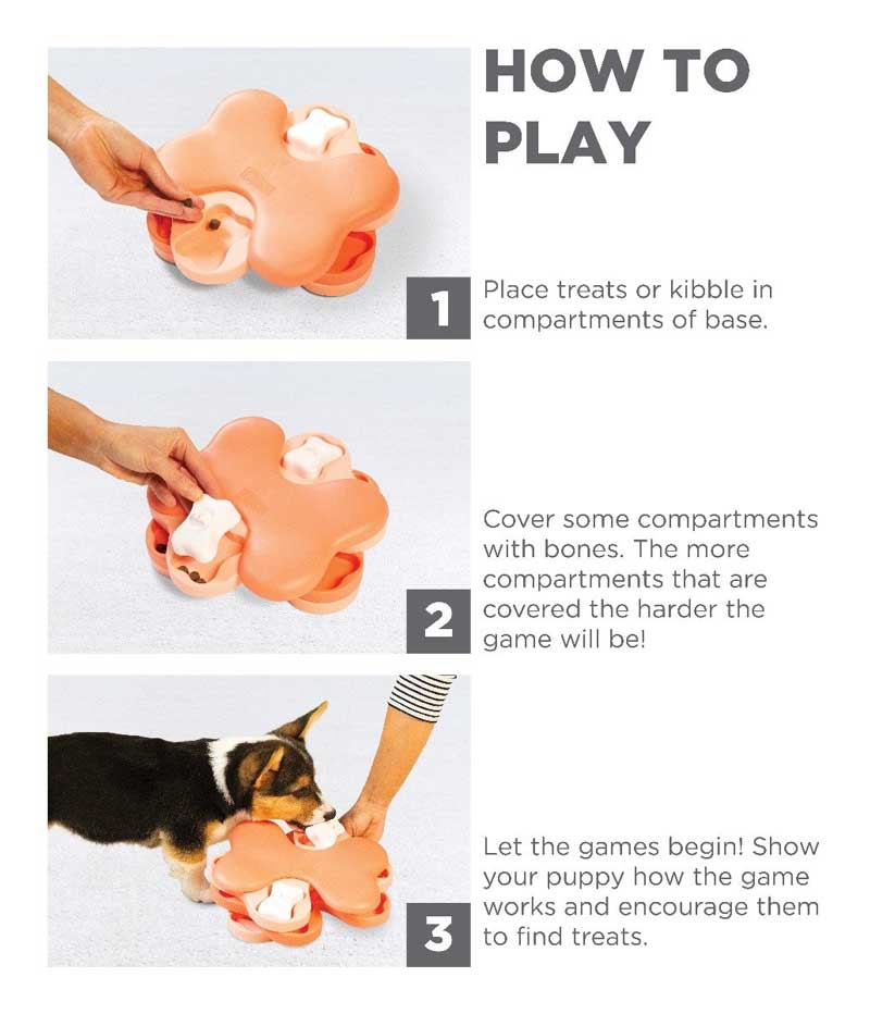 Nina Ottoson 15% OFF: Dog Tornado Strategy Game - CreatureLand