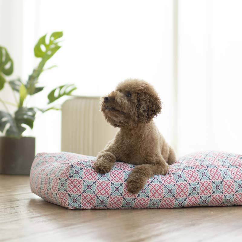 Ohpopdog Bibik Pink 14 Microbeads Pet Bed - CreatureLand