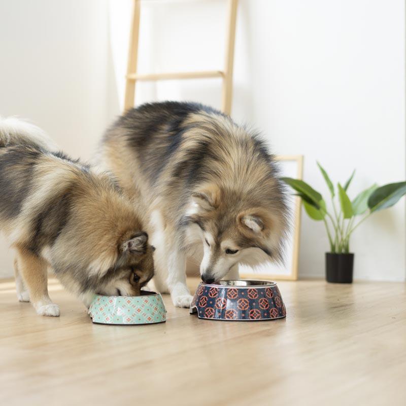 Ohpopdog Heritage Straits Mint 17 Pet Bowl - CreatureLand