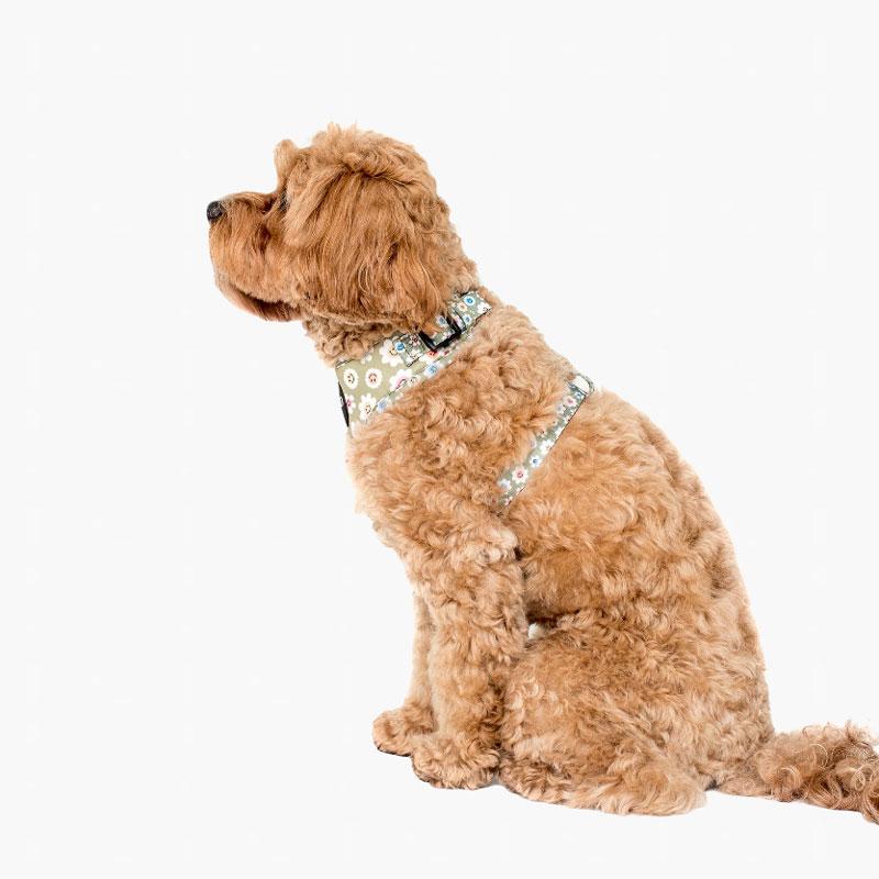 PABLO & Co. Adjustable Harness - Smiley Flowers - CreatureLand