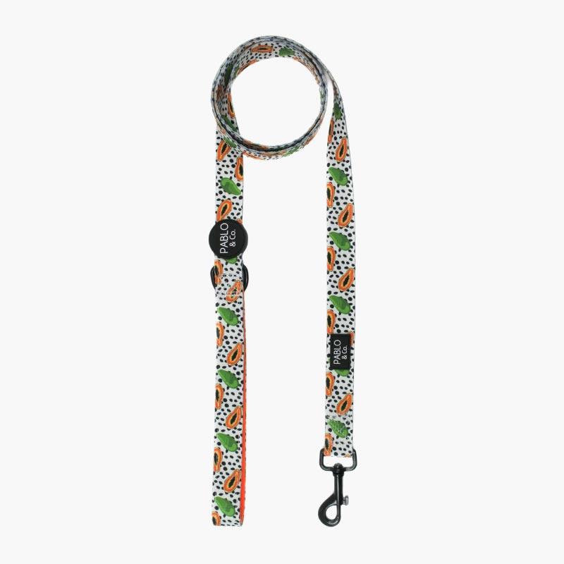 PABLO & Co. Pet Leash - Papaya - CreatureLand